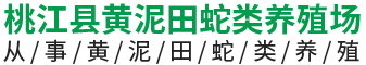 湖南桃江縣黃泥田蛇類養(yǎng)殖專業(yè)技術(shù)培訓(xùn)